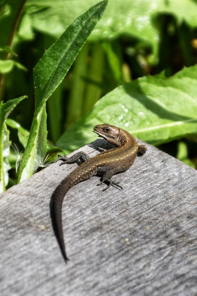 Фотография автора Анастасия Руднева