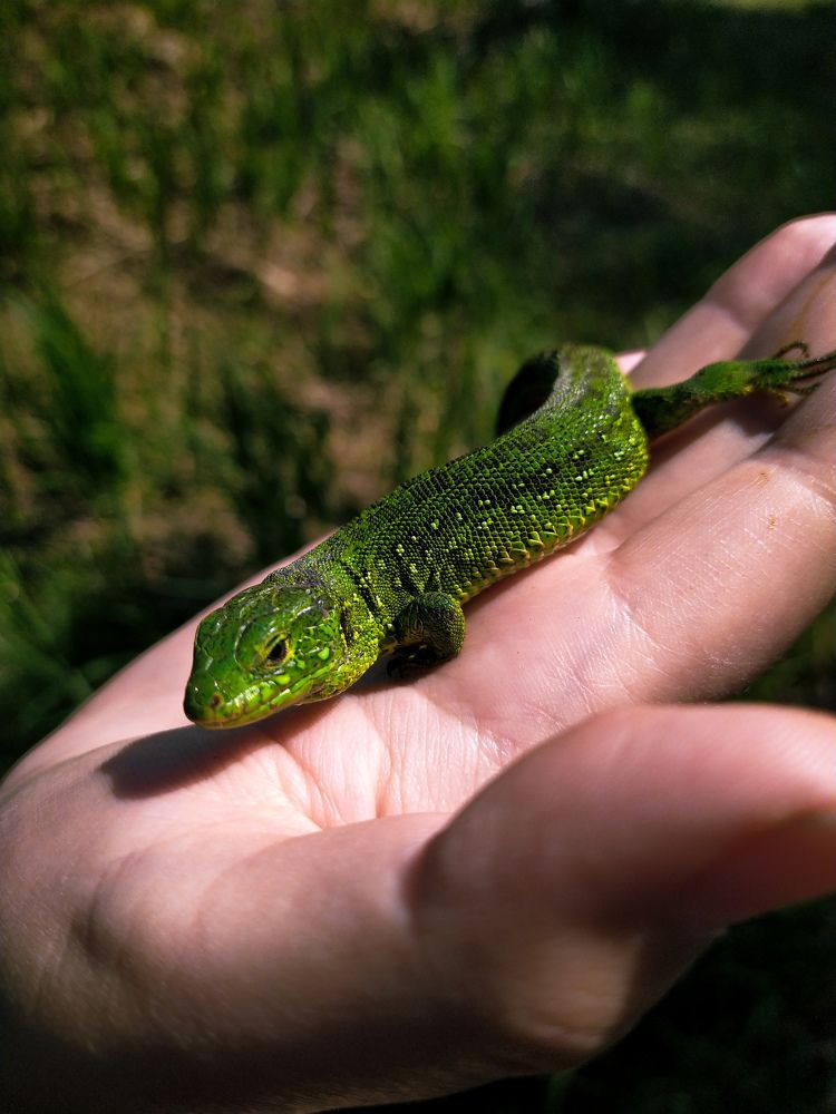Photograph by Юлия Волгина