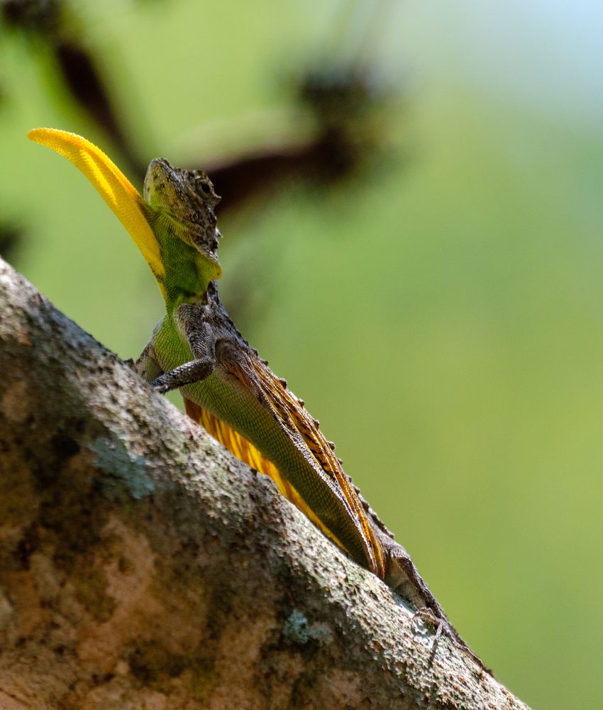 Photograph by Sarasija