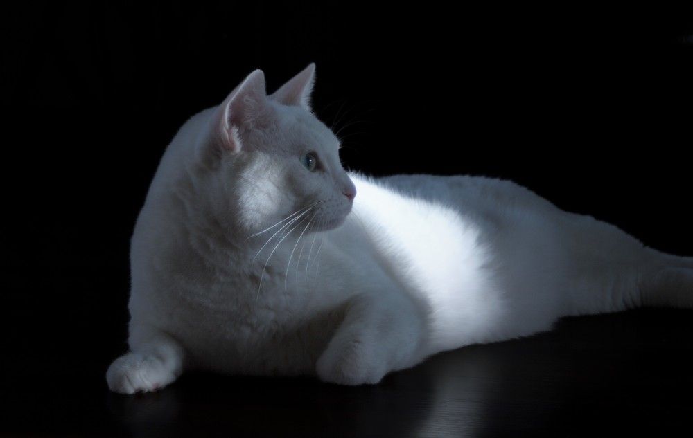 Photograph by Алексей Савенков