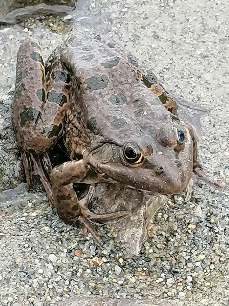 Photograph by Елена Андреевна