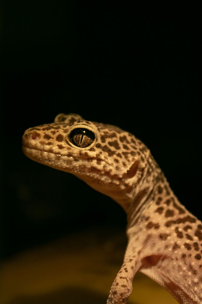 Photograph by Дарья Дрыночкина