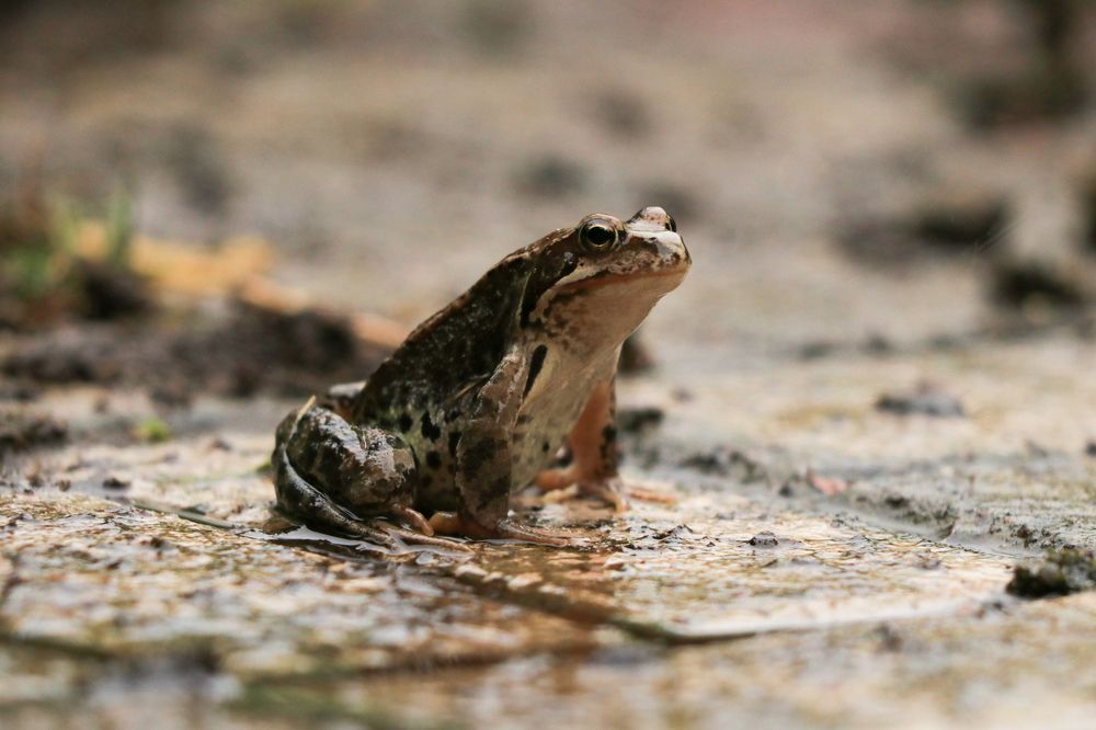 Photograph by Дарья Дрыночкина