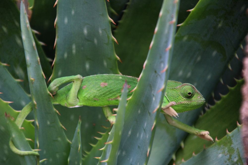 Photograph by Александр Коган