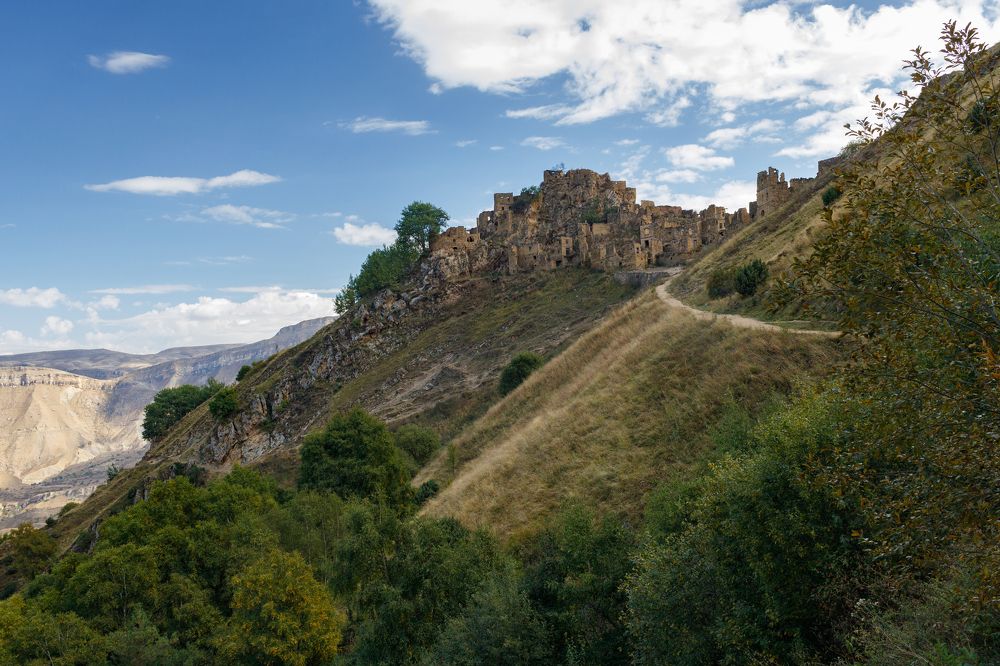 Photograph by Алексей Савенков