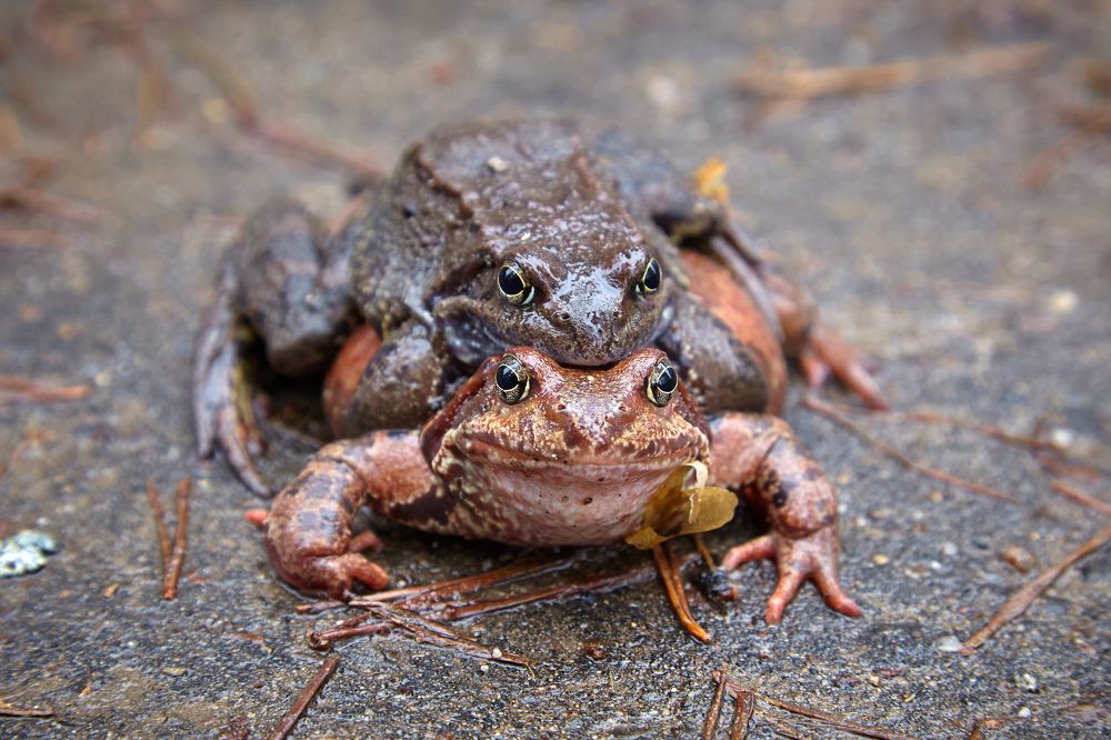 Photograph by Балакин Евгений