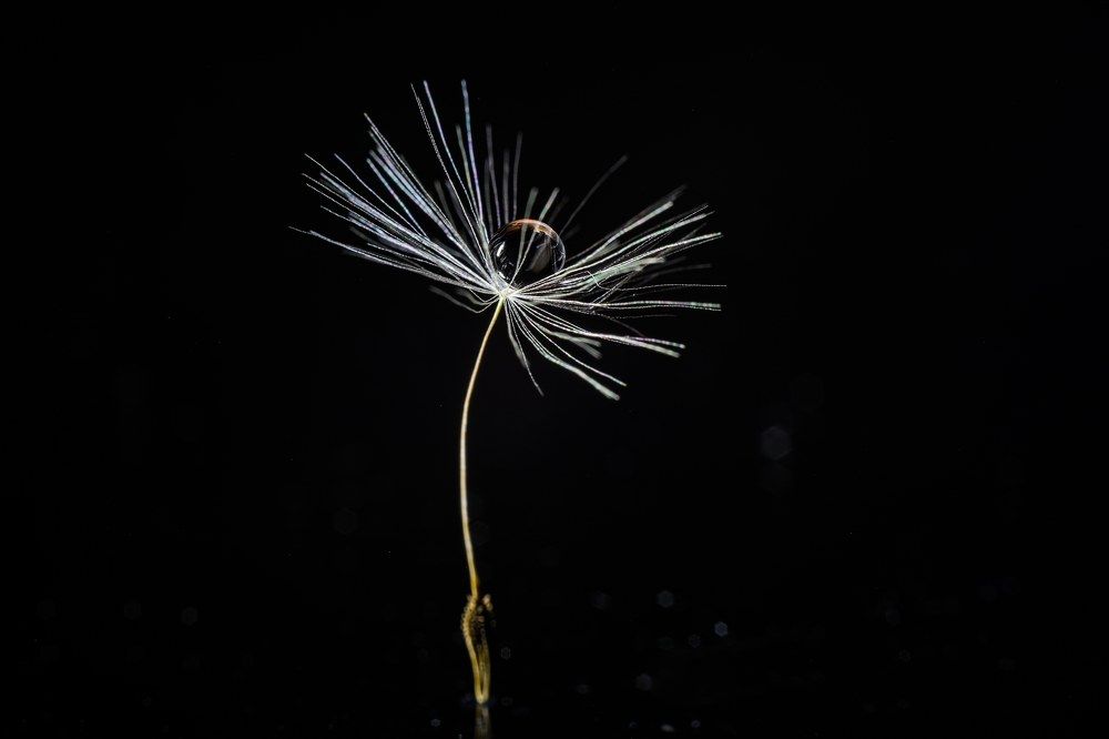 Photograph by Sergey Uskov