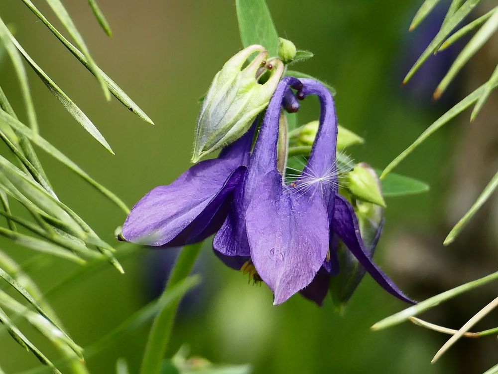 Photograph by Александр Кизим