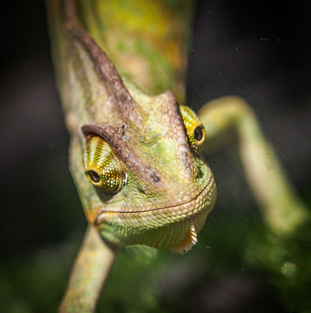 Photograph by Балакин Евгений