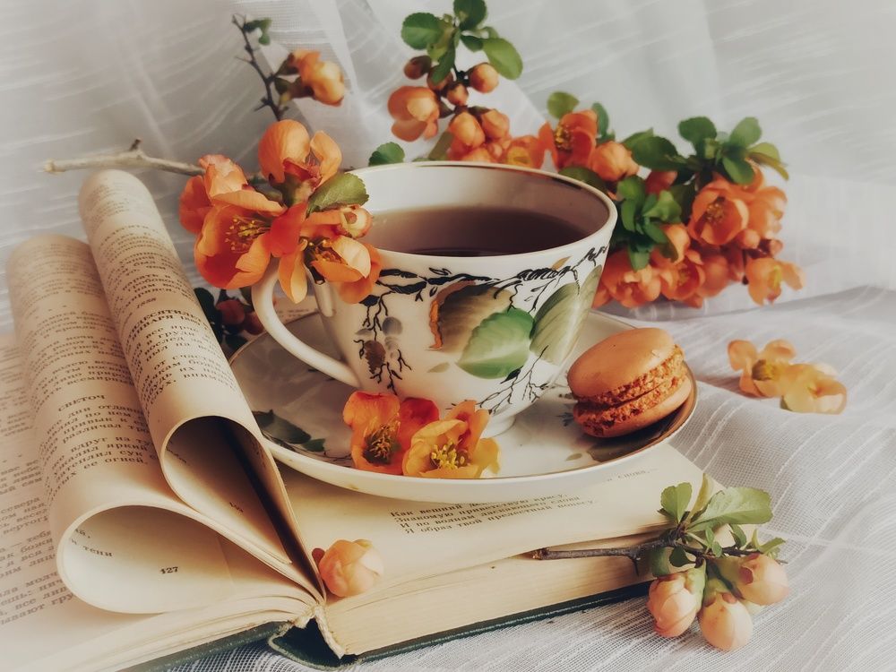 Чай с лимонником