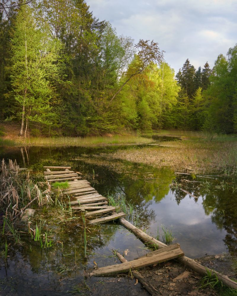 Photograph by Наталья Лабодина