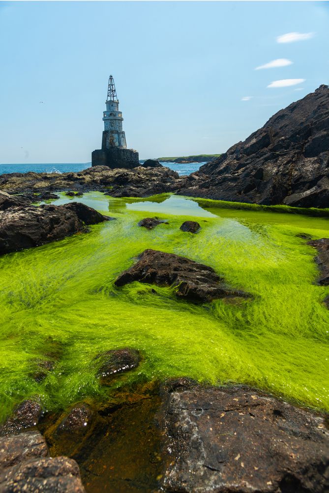 Photograph by Vangel Tonev