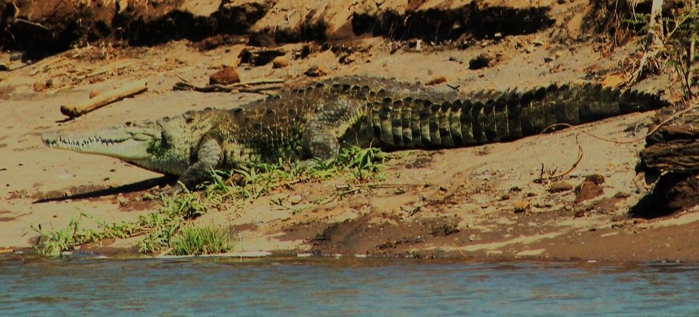 Photograph by Leo Tujak