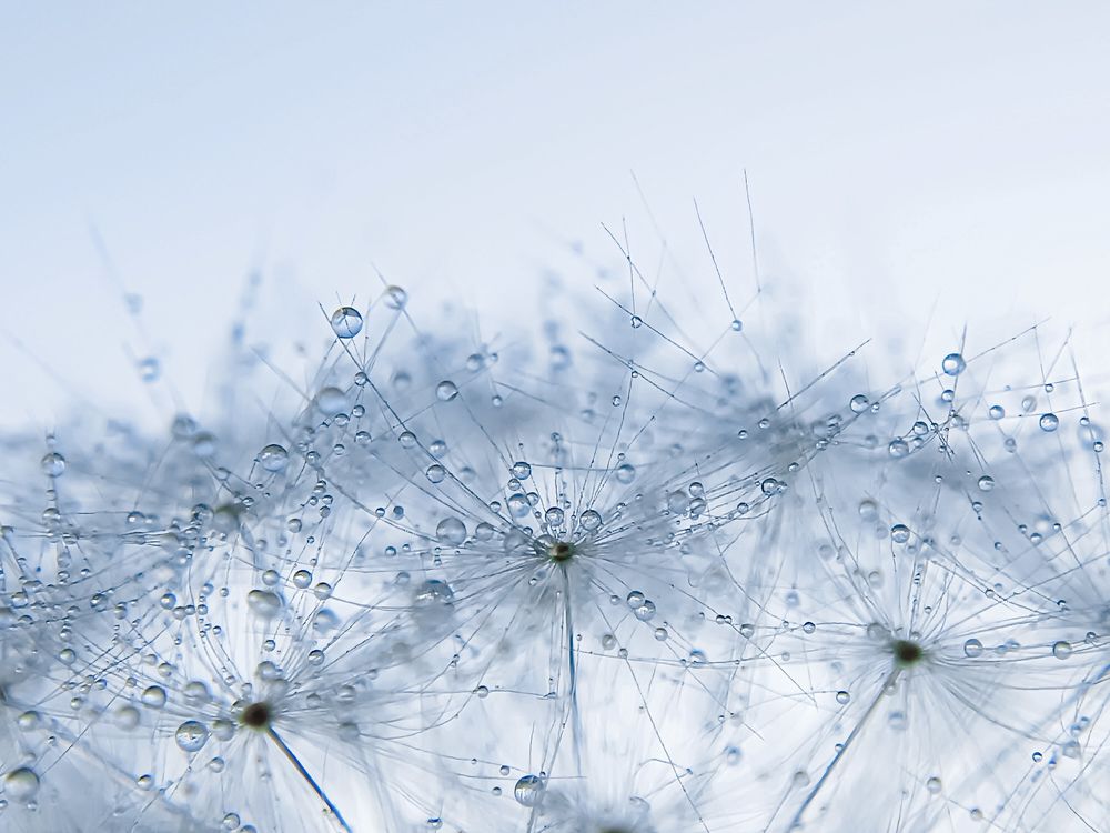 Небесная влага