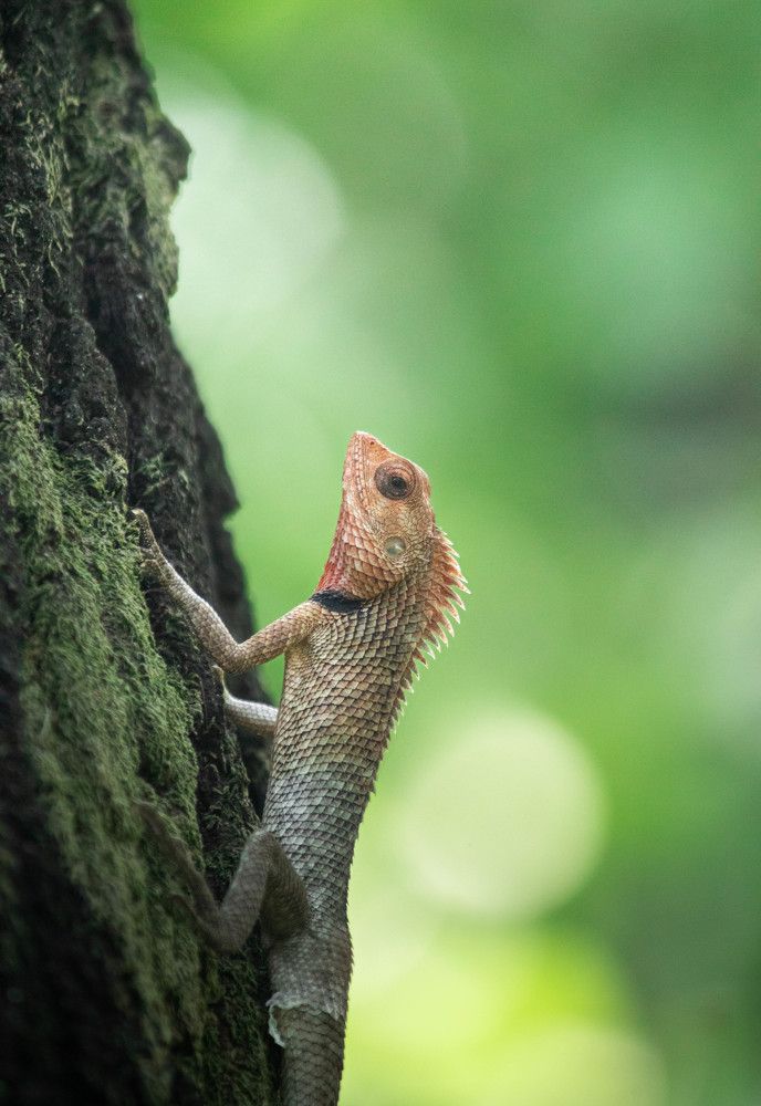 Photograph by Aryan Paradkar