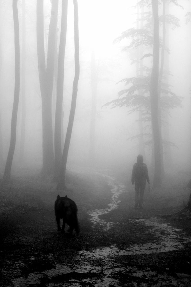 Photograph by Damir Gržin