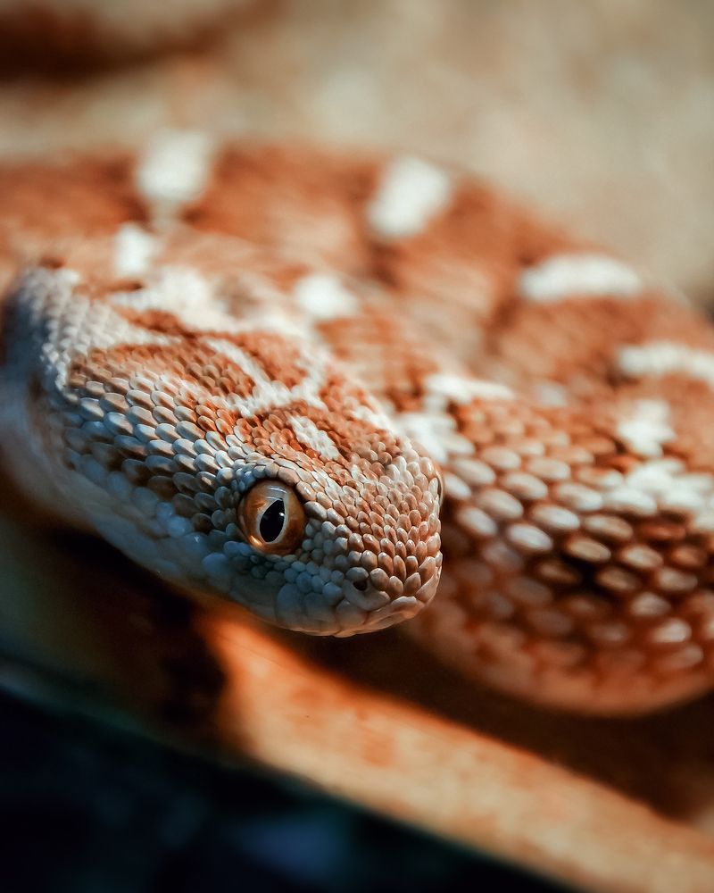 Photograph by Александр Гамалеев