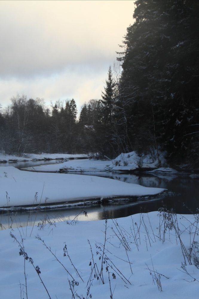 Фотография автора Анастасия Зверева