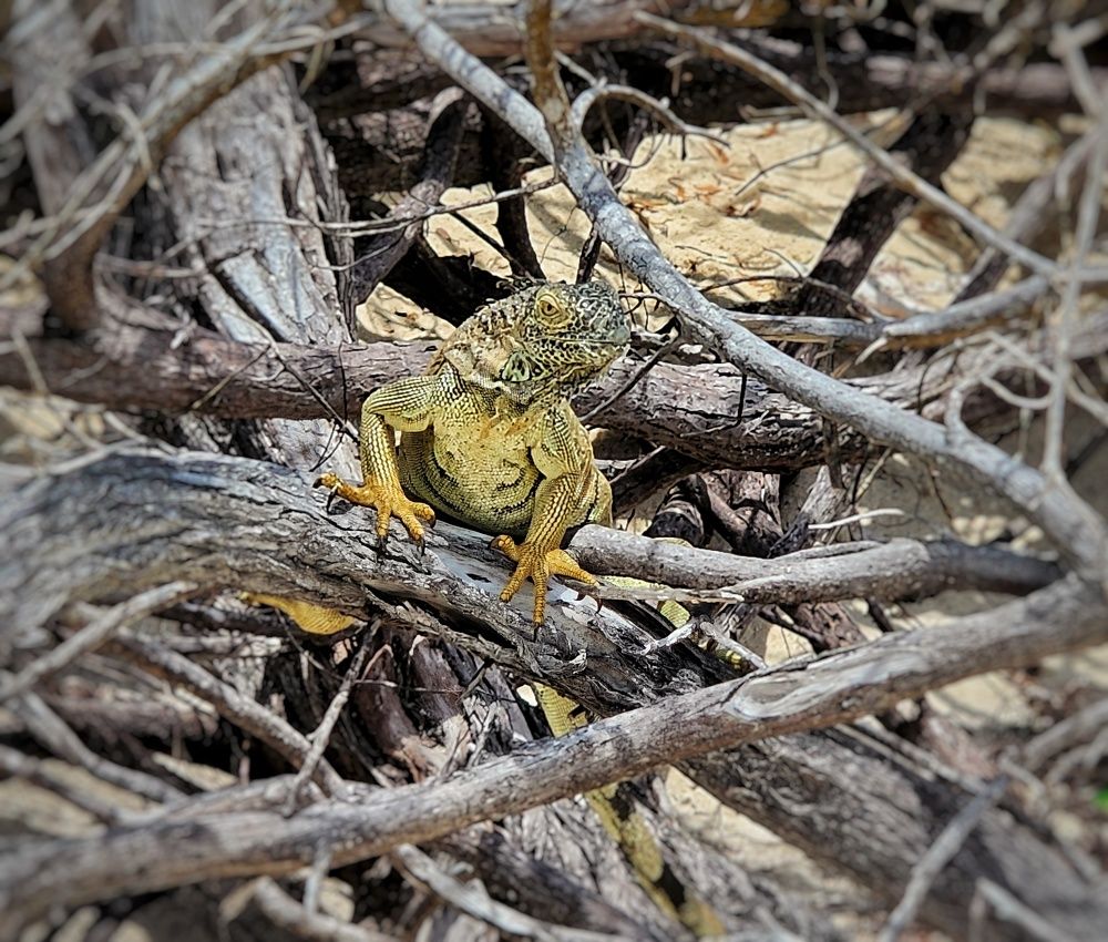 Photograph by Annamaria