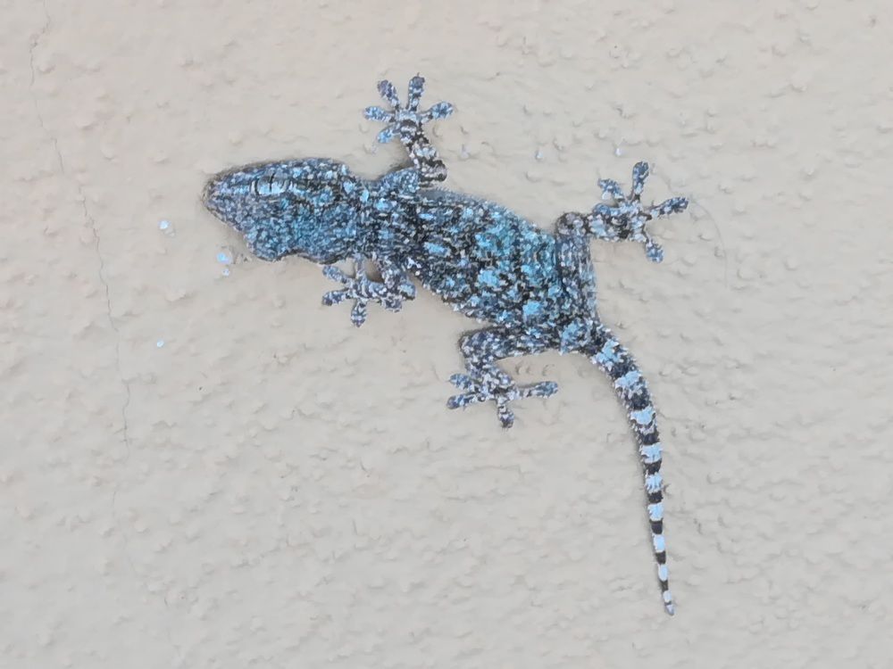 Photograph by Anila Ismailaj