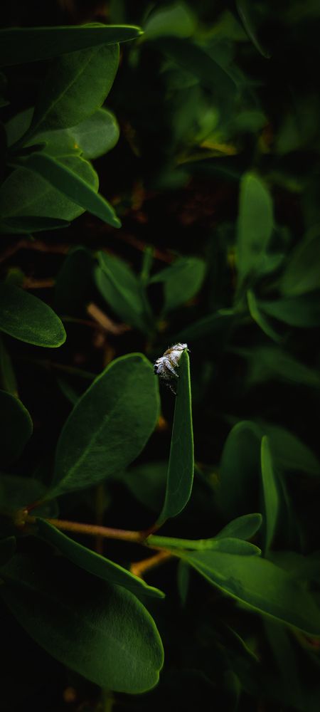 Photo #9127537