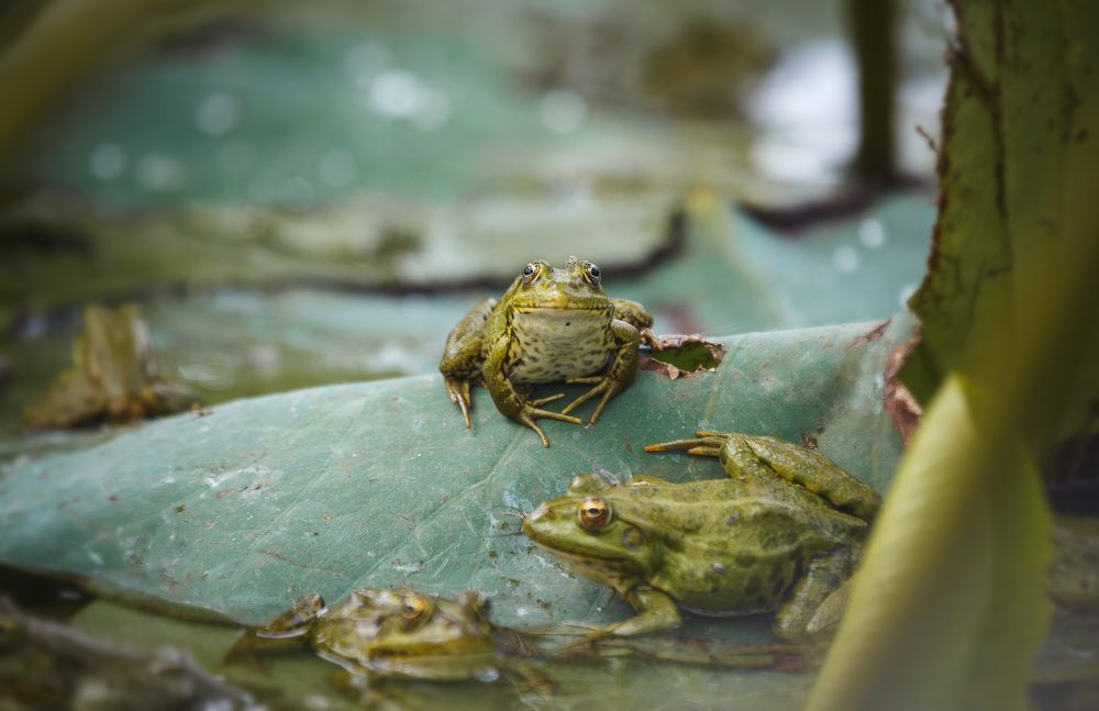 Photograph by Зеленько Дмитрий