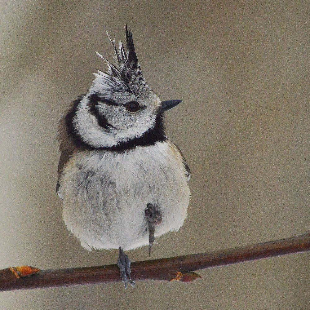 Холодный серый день.