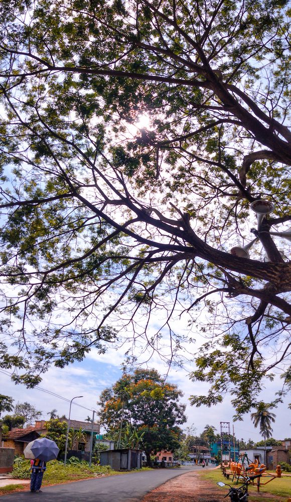 Photograph by Sayani Chakraborty