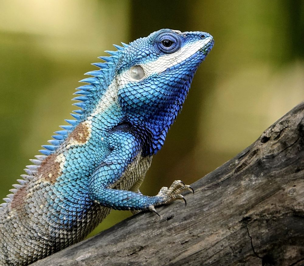 Photograph by Detlef Sarrazin