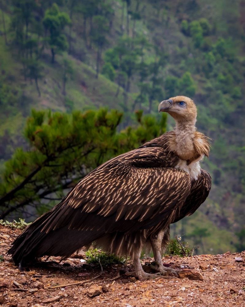 Photograph by Rishav Jain