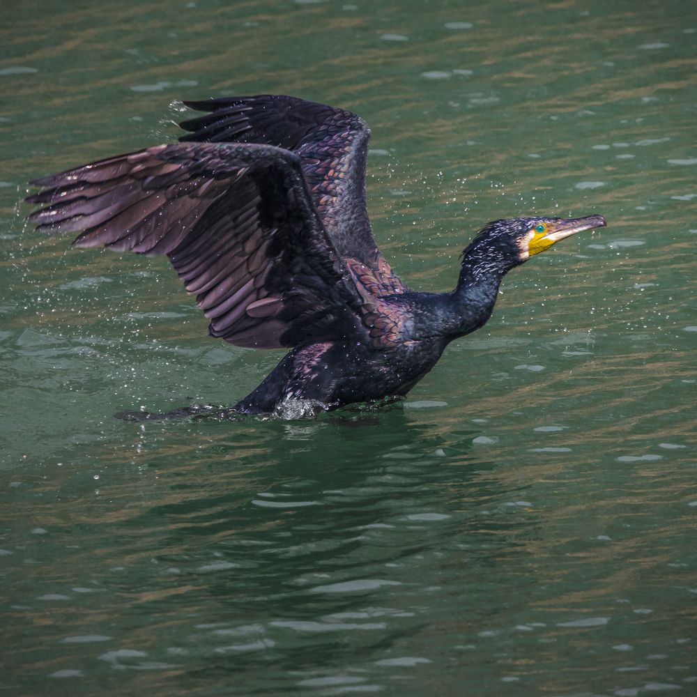 Photograph by Rishav Jain