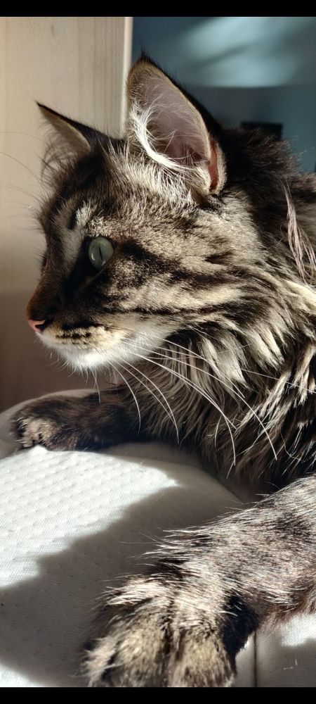 Photograph by Radoslav Stefanov