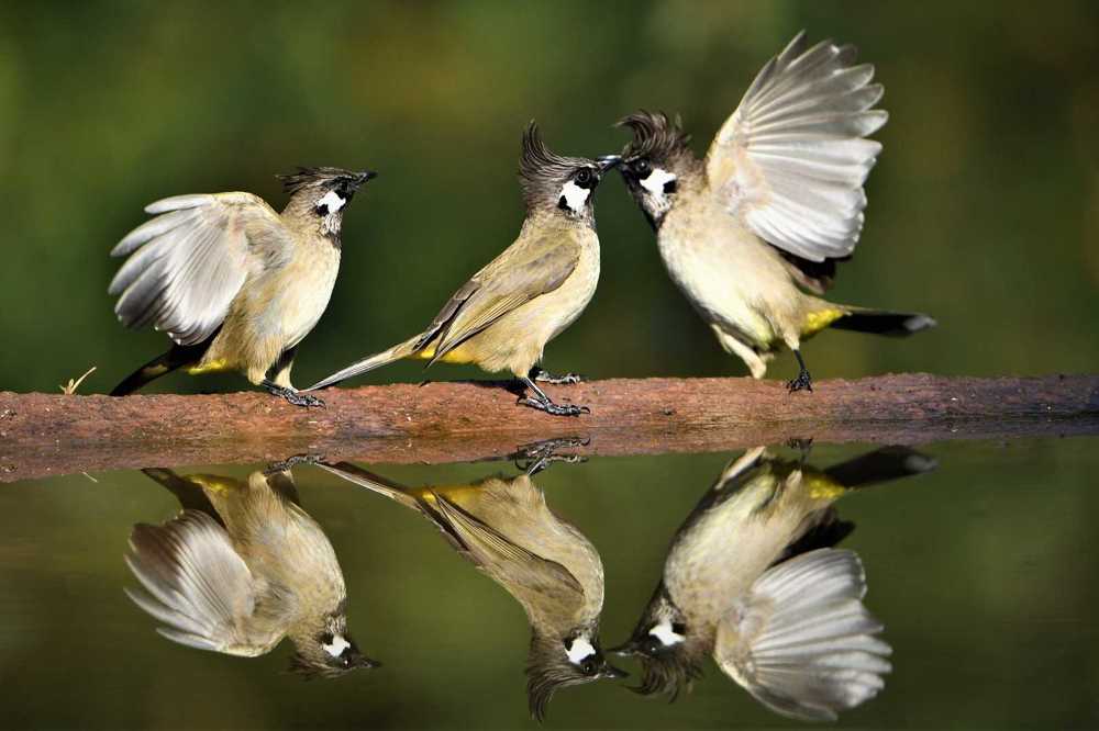 Photograph by Preet saluja