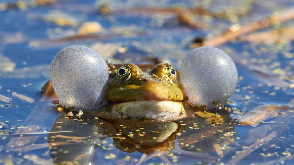 Photograph by Иван Волков