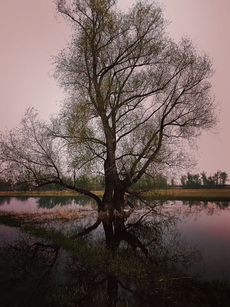 Photograph by Михаил Мехедов