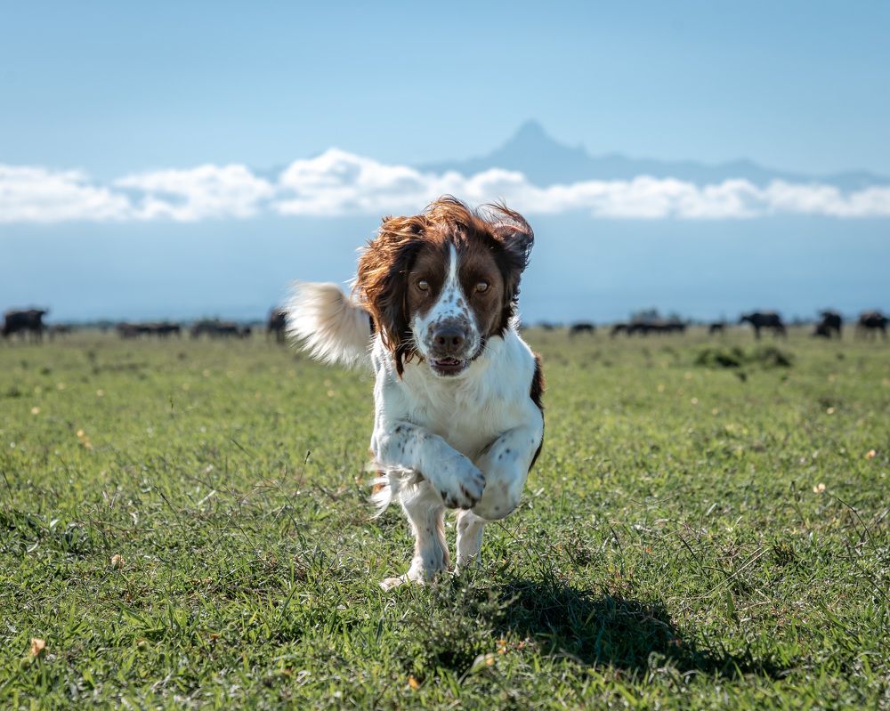 Photograph by Rio Marvin