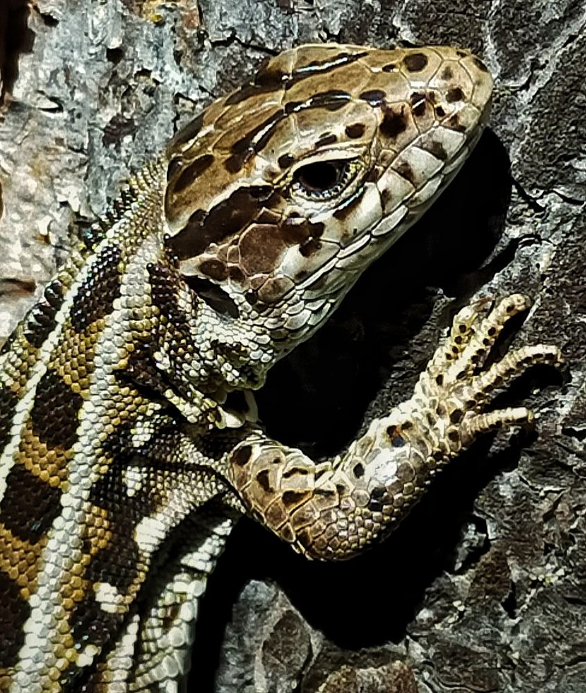 Photograph by Ольга Мартьянова