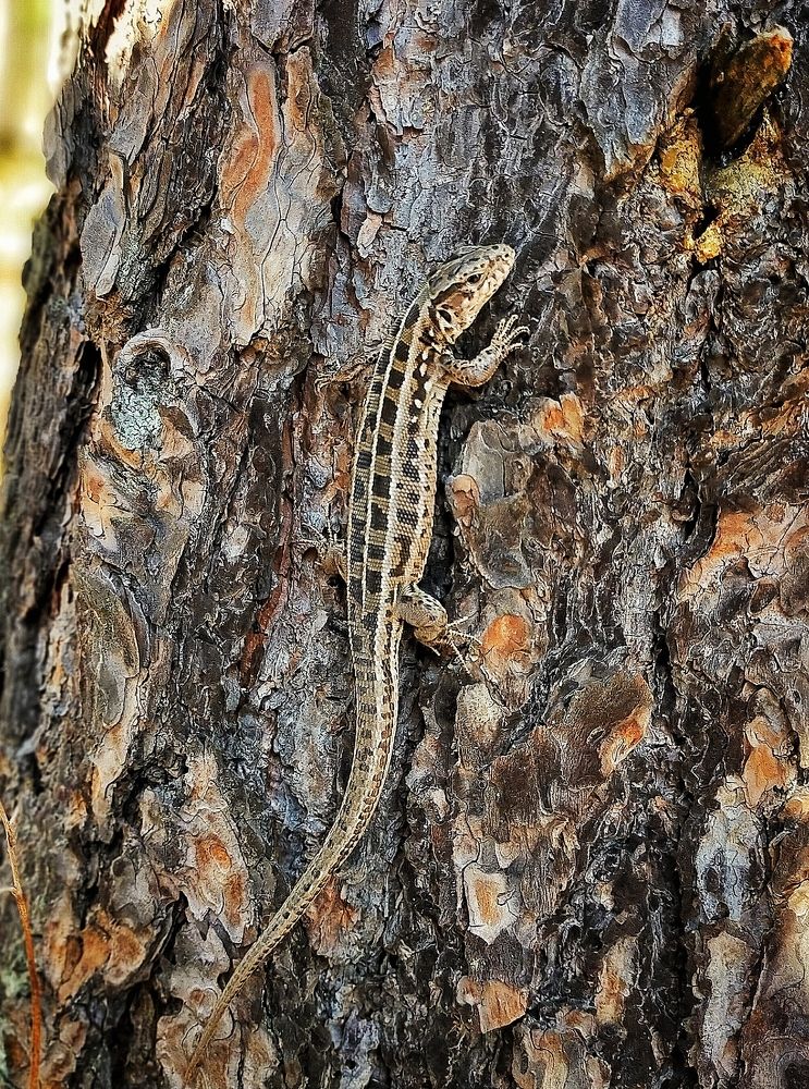 Photograph by Ольга Мартьянова