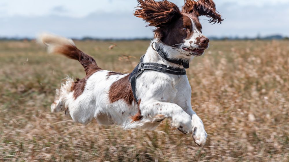 Photograph by Rio Marvin