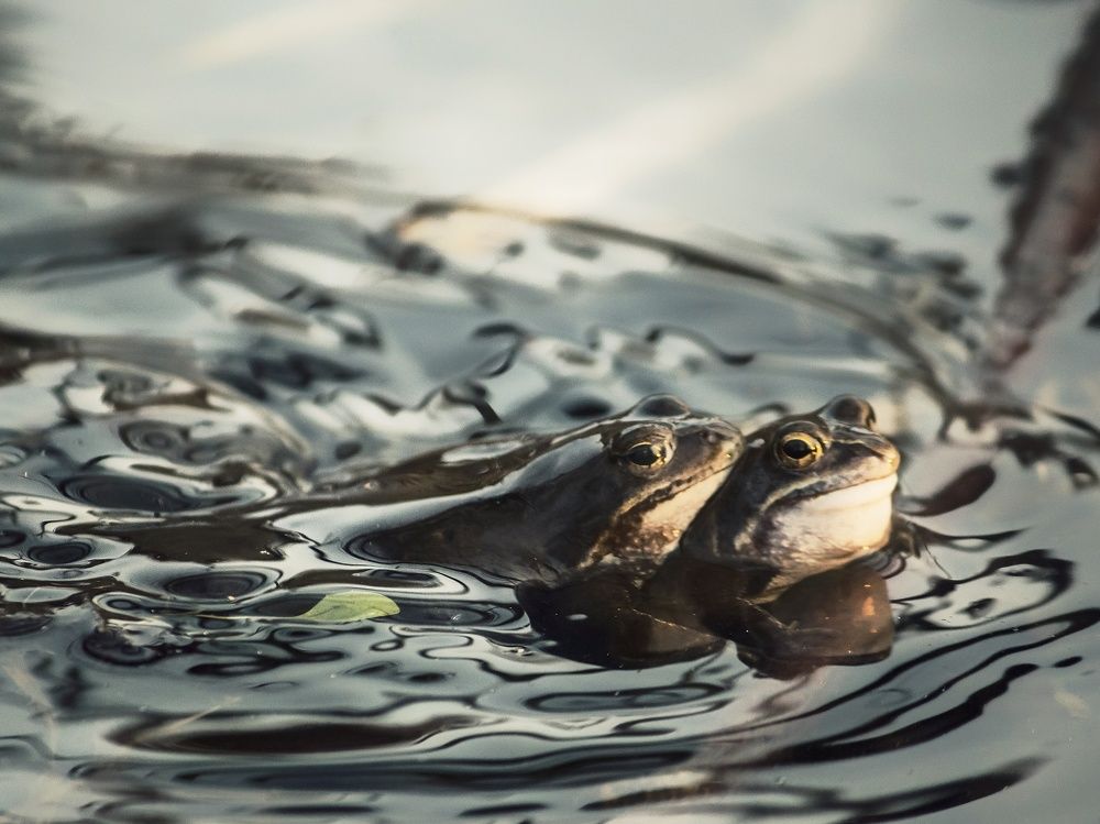 Photograph by Юлия Серазетдинова