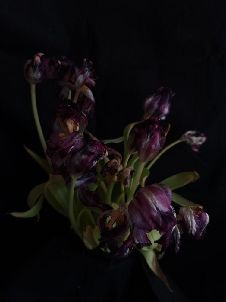 Photograph by Елена Акимова