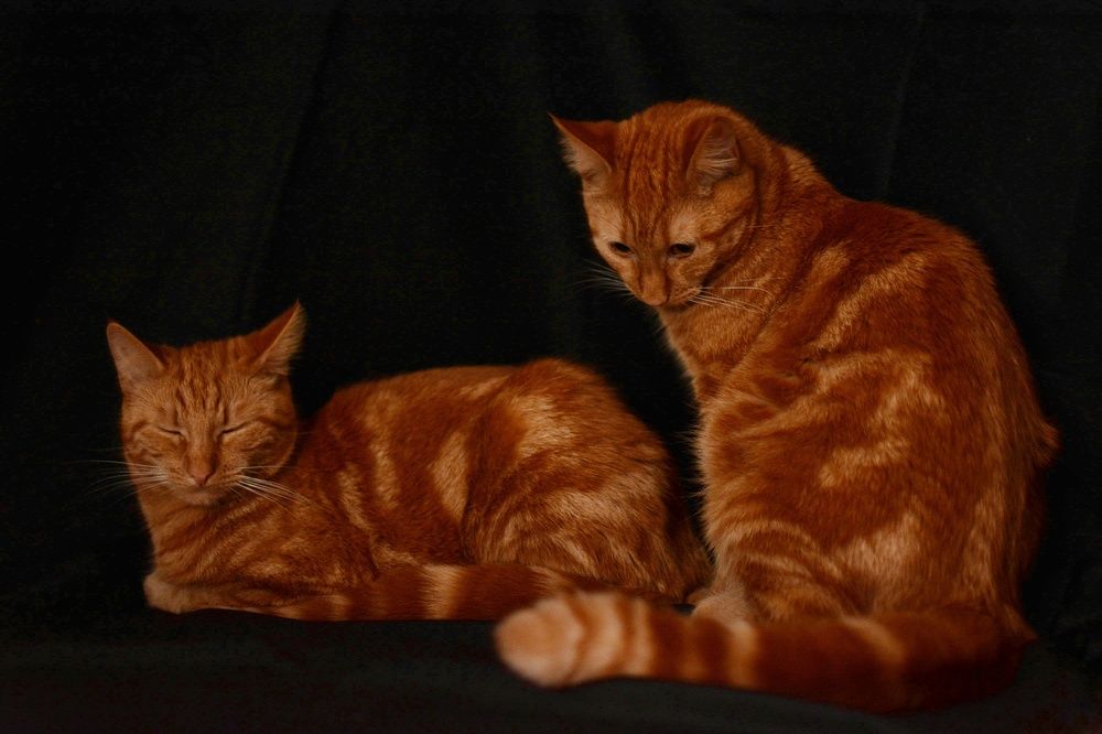 Photograph by Елена Акимова