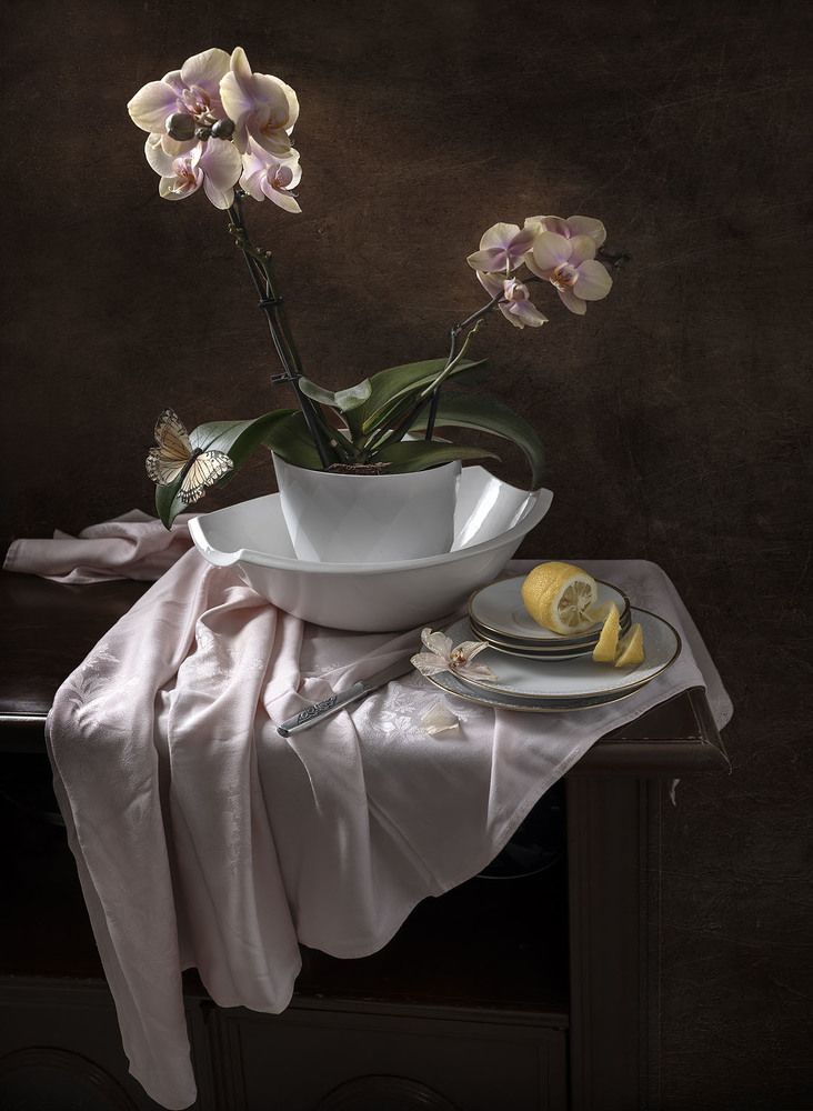 Photograph by Виктория Солодар