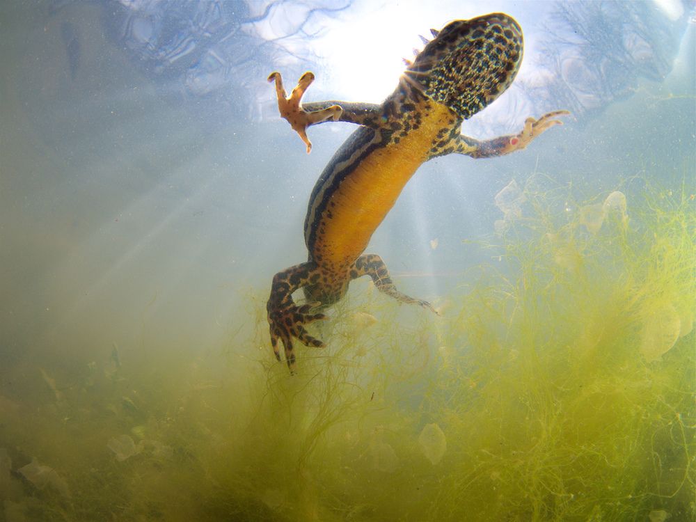 Photograph by Никифоров Егор