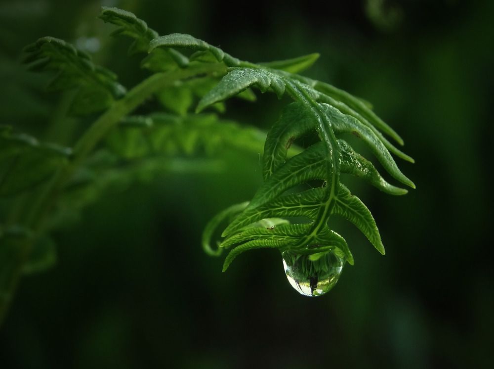 Photograph by Янина Черпухина-Андреева