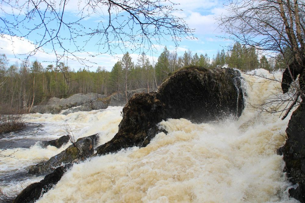 Фотография автора Светлана Терехова