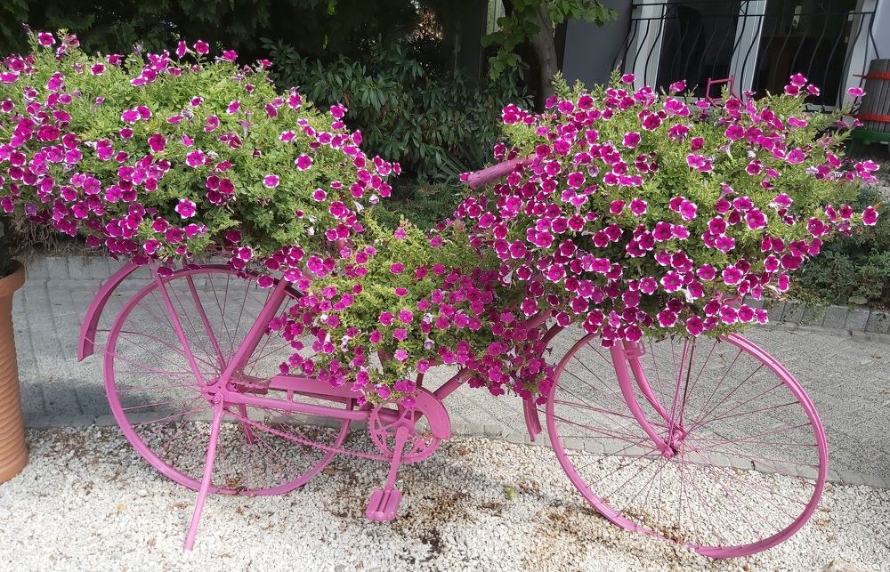 Photograph by Andrea Szénási