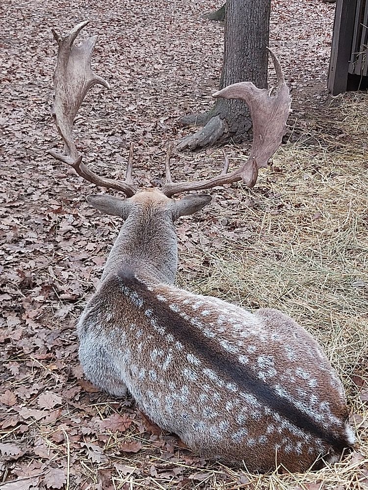 Photograph by Andrea Szénási