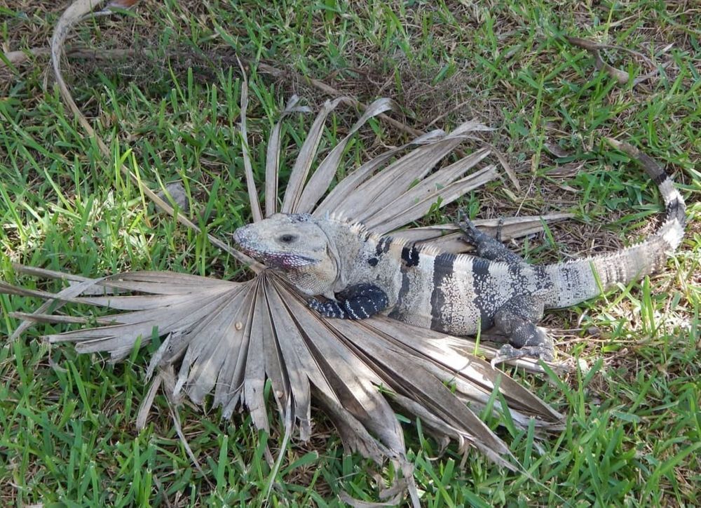 Photograph by Andrea Szénási