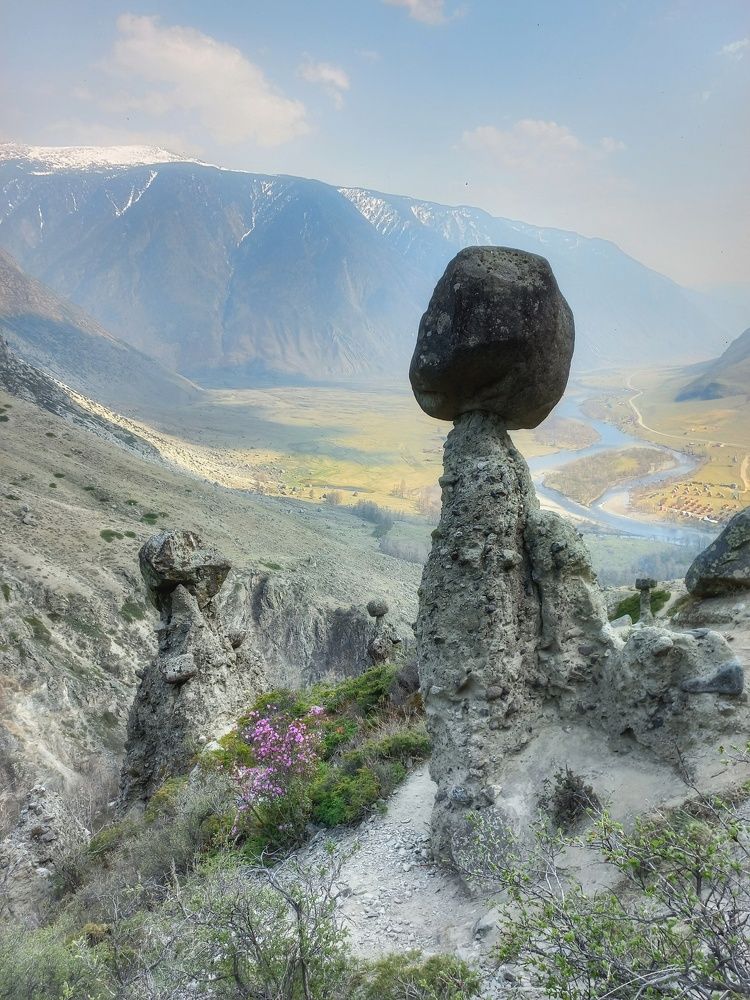 Каменные грибы